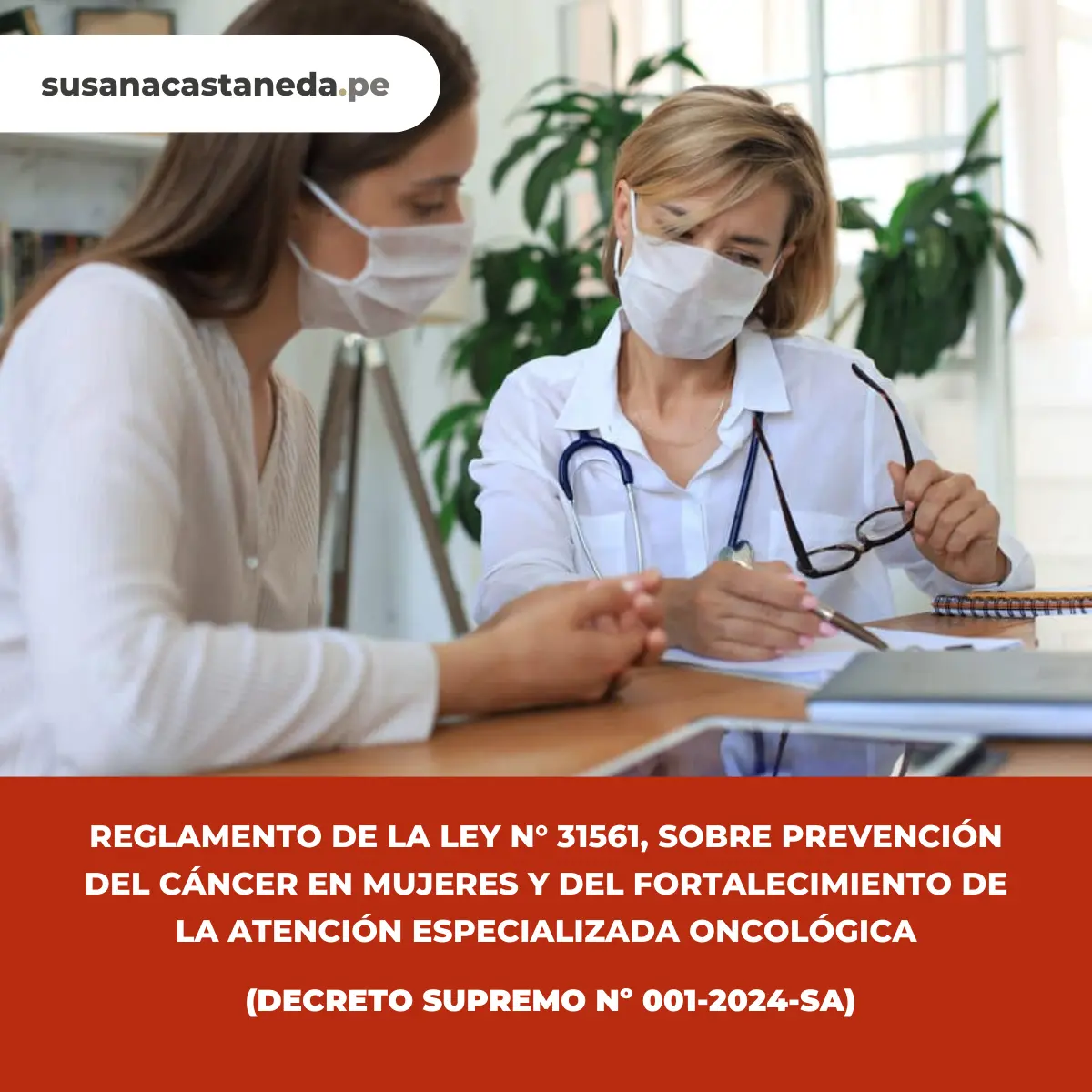 Reglamenteo - Ley 31561 - Dra. Susana Castaneda Otsu