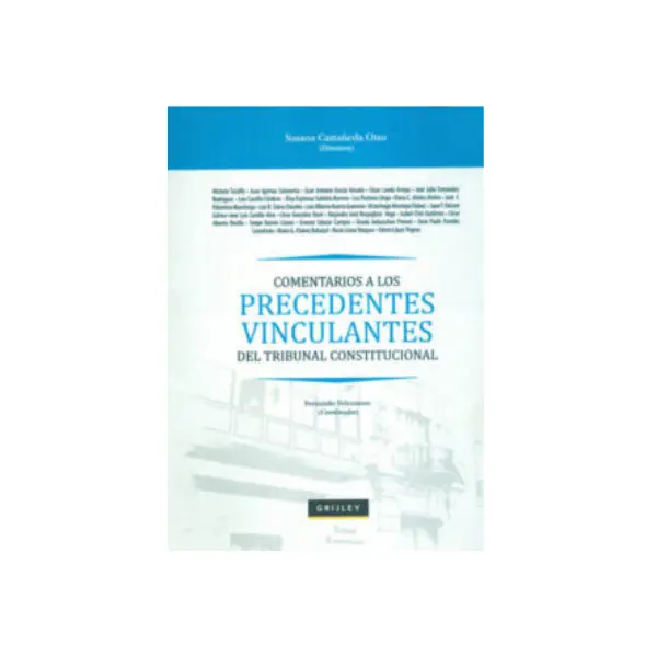 Comentarios Precedentes Vinculantes - Susana Castaneda Otsu