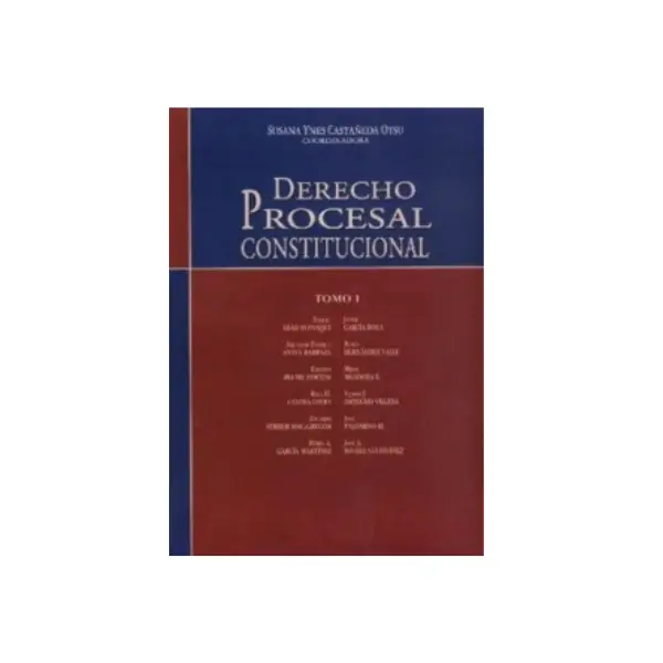 Derecho Procesal Constitucional - Introducción a los procesos constitucionales - Susana Castaneda Otsu