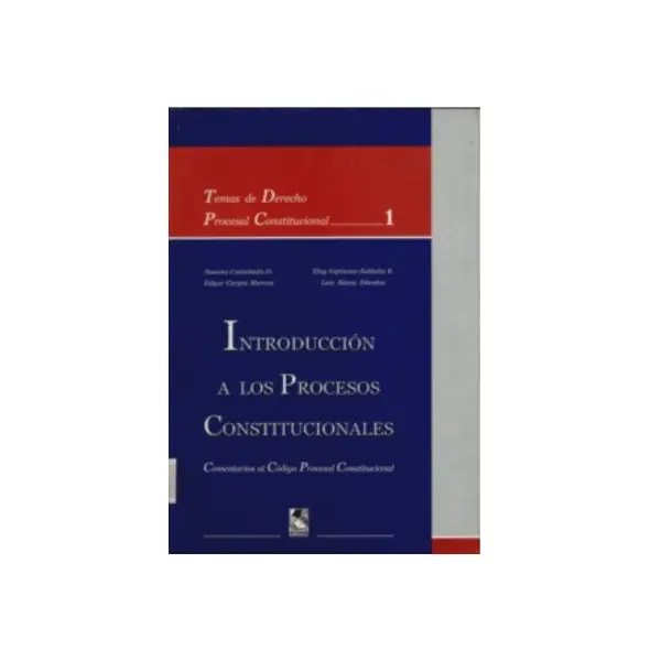Introducción a los procesos constitucionales - Susana Castaneda Otsu